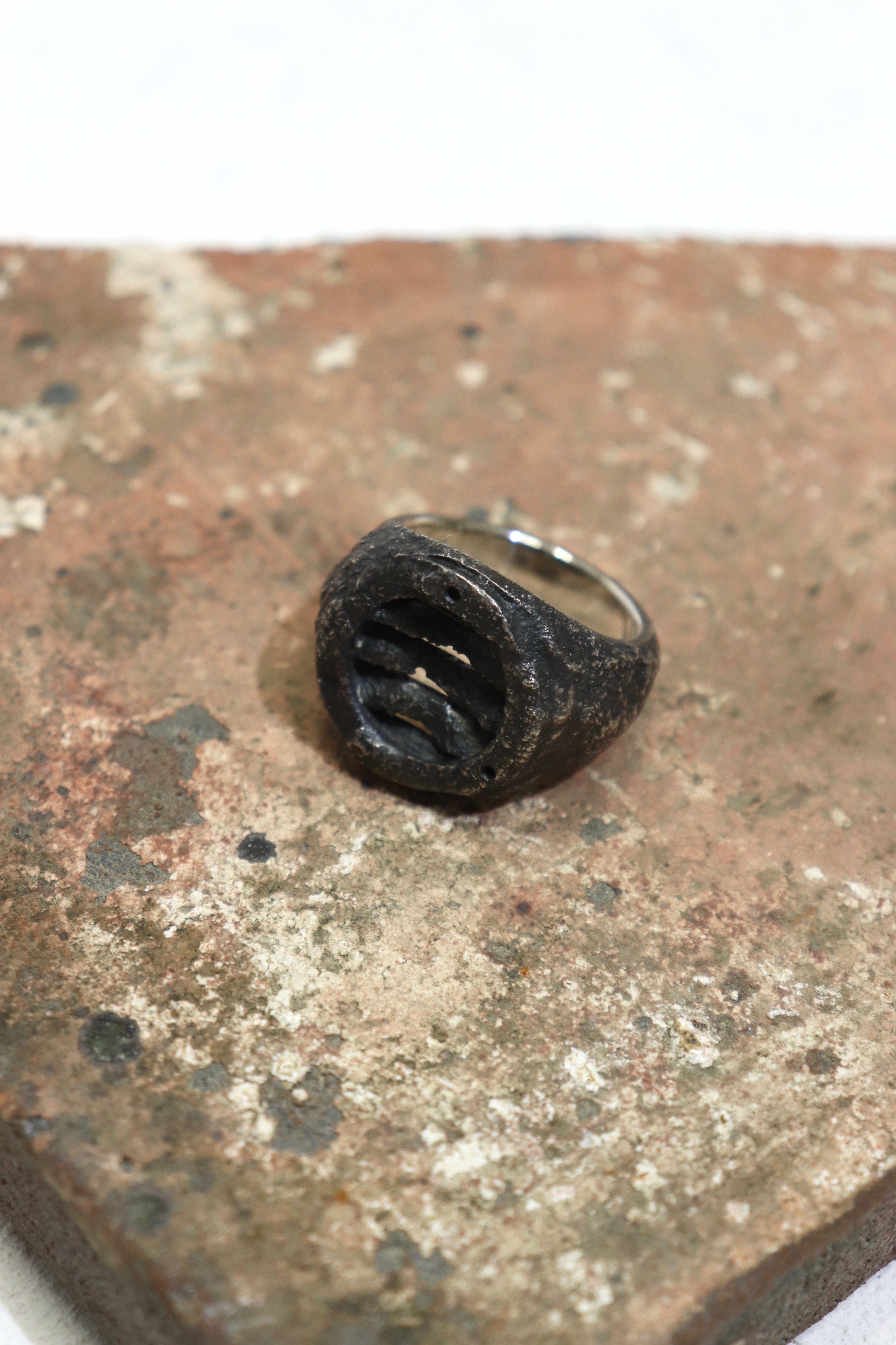 IMG_1179.jpg?v=1750406456