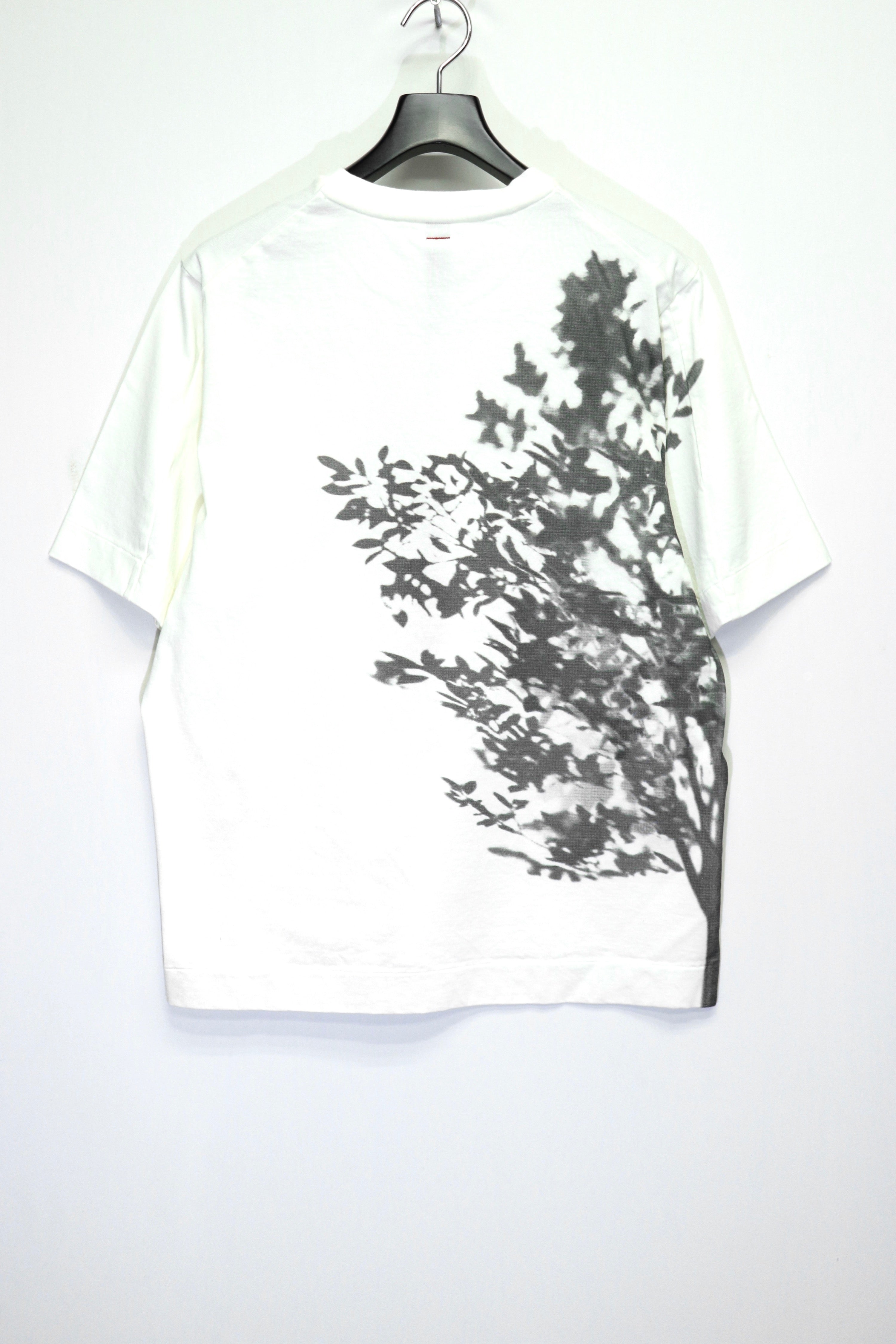 SHINYAKOZUKA(シンヤコヅカ)のTREE(Tシャツ)の通販｜PALETTE art alive