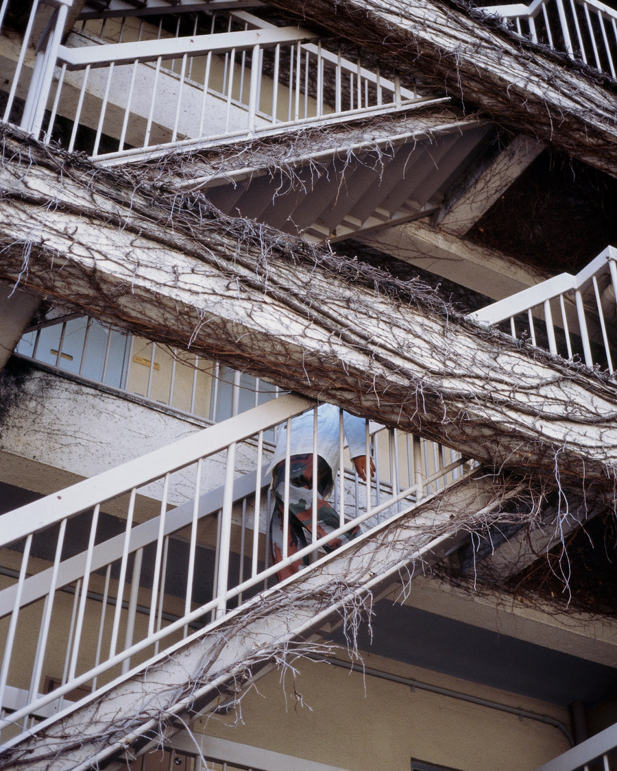 FAF × PALETTE art alive  Switching Slacks(GERMAN CAMO)