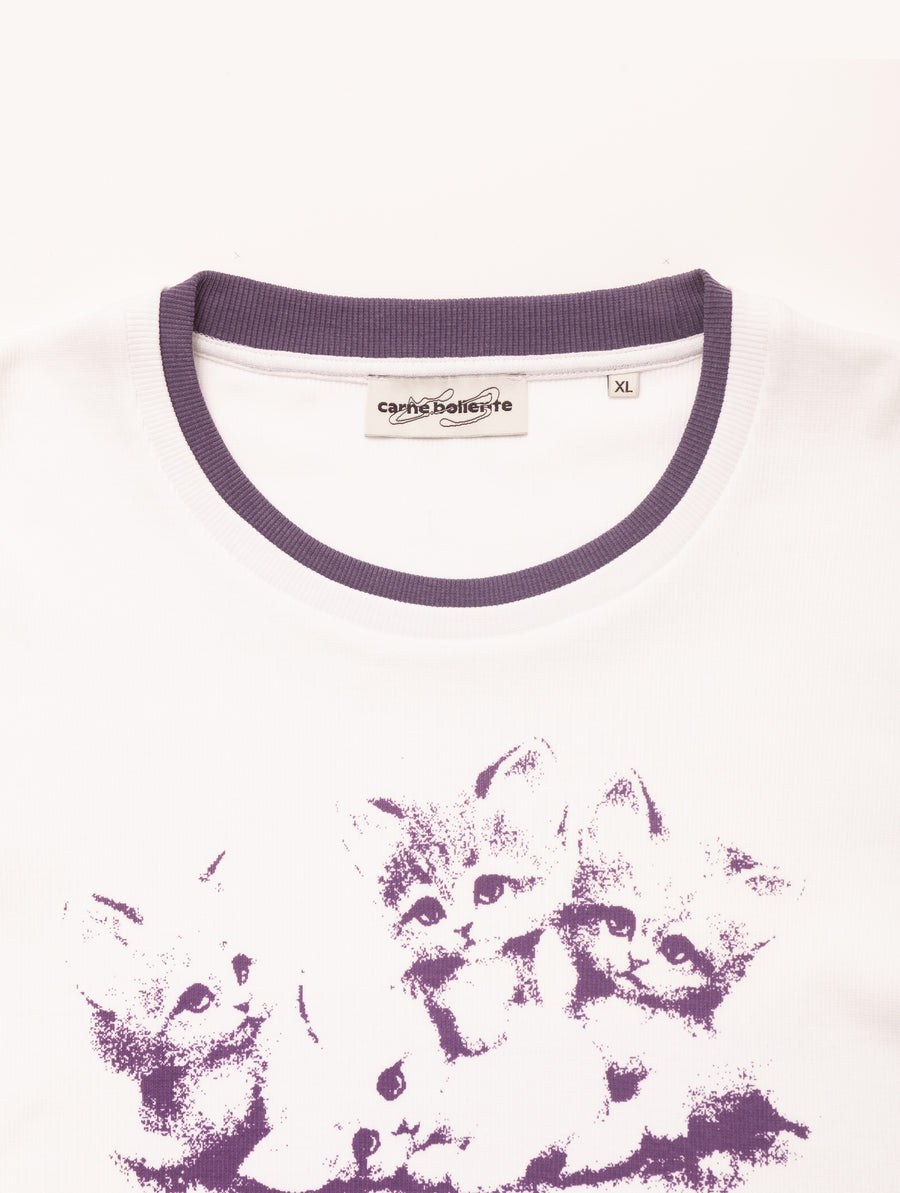 Carne Bollente  Kitten Crush