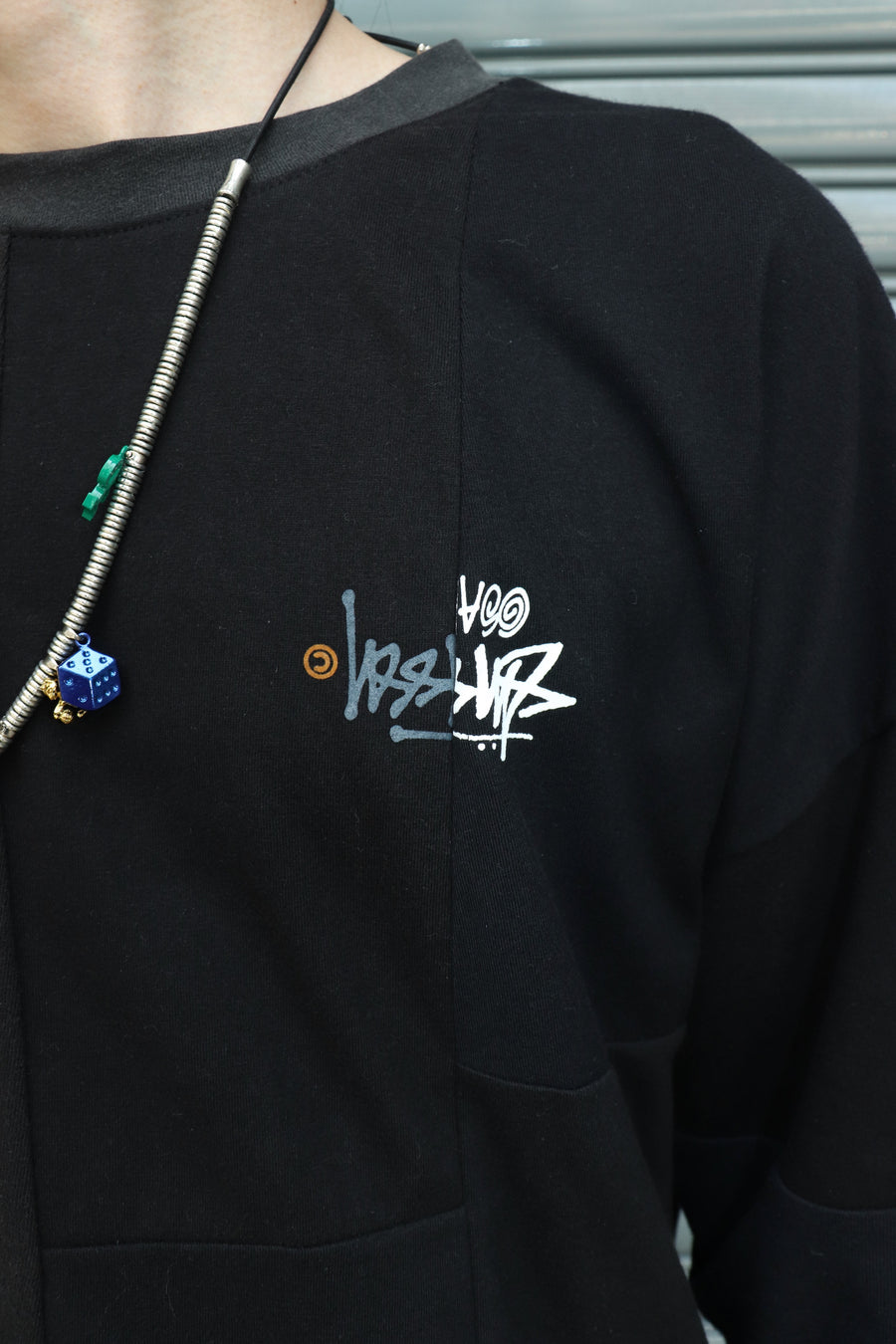 Takaya Hioki  old stussy remake L/S-29