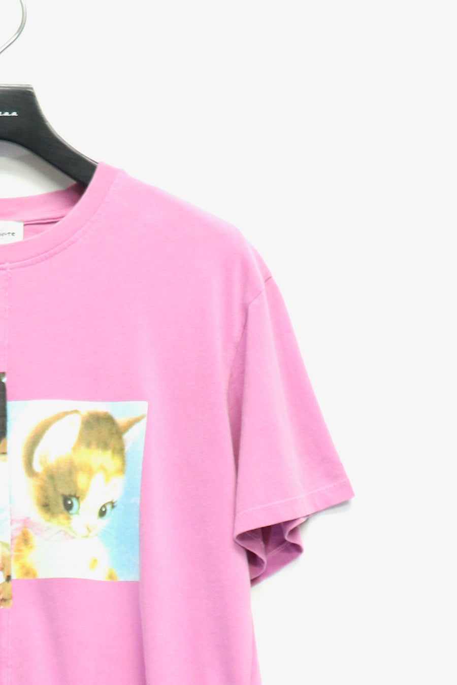 Carne Bollente  Feline Fantasies