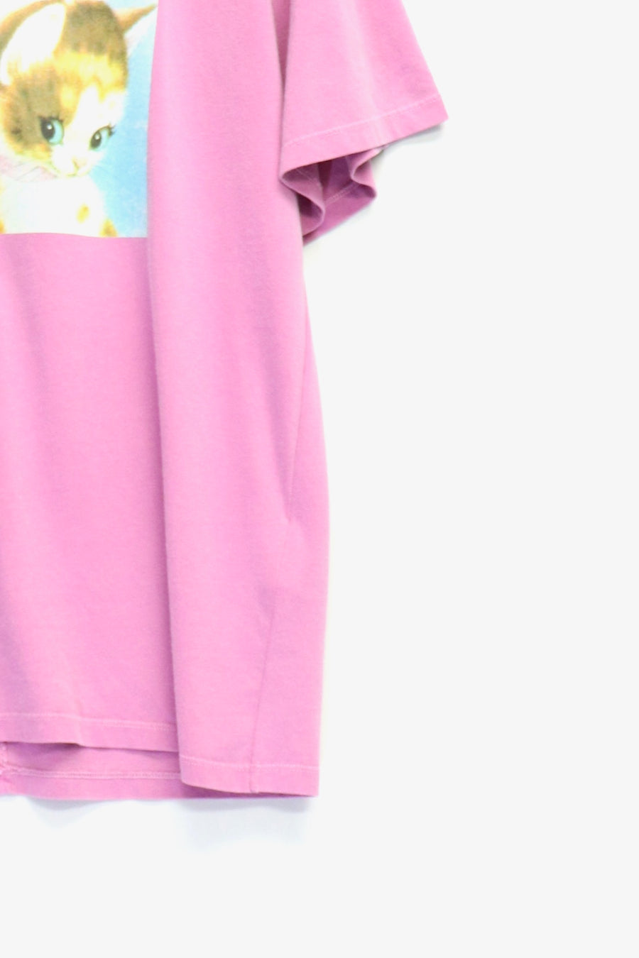 Carne Bollente  Feline Fantasies