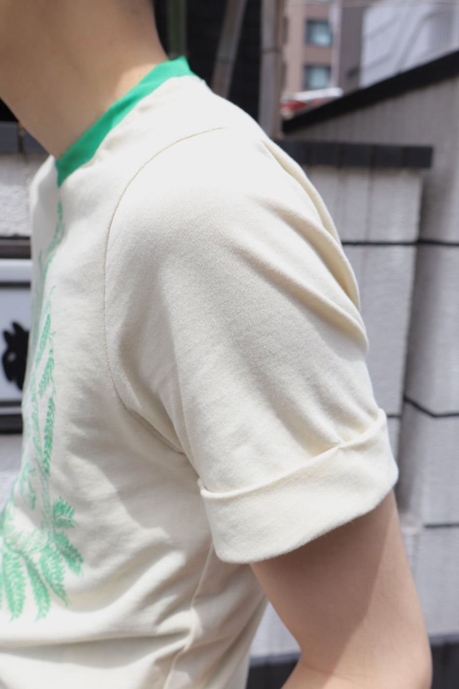 SHINYAKOZUKA  PICTURESQUE’ST’