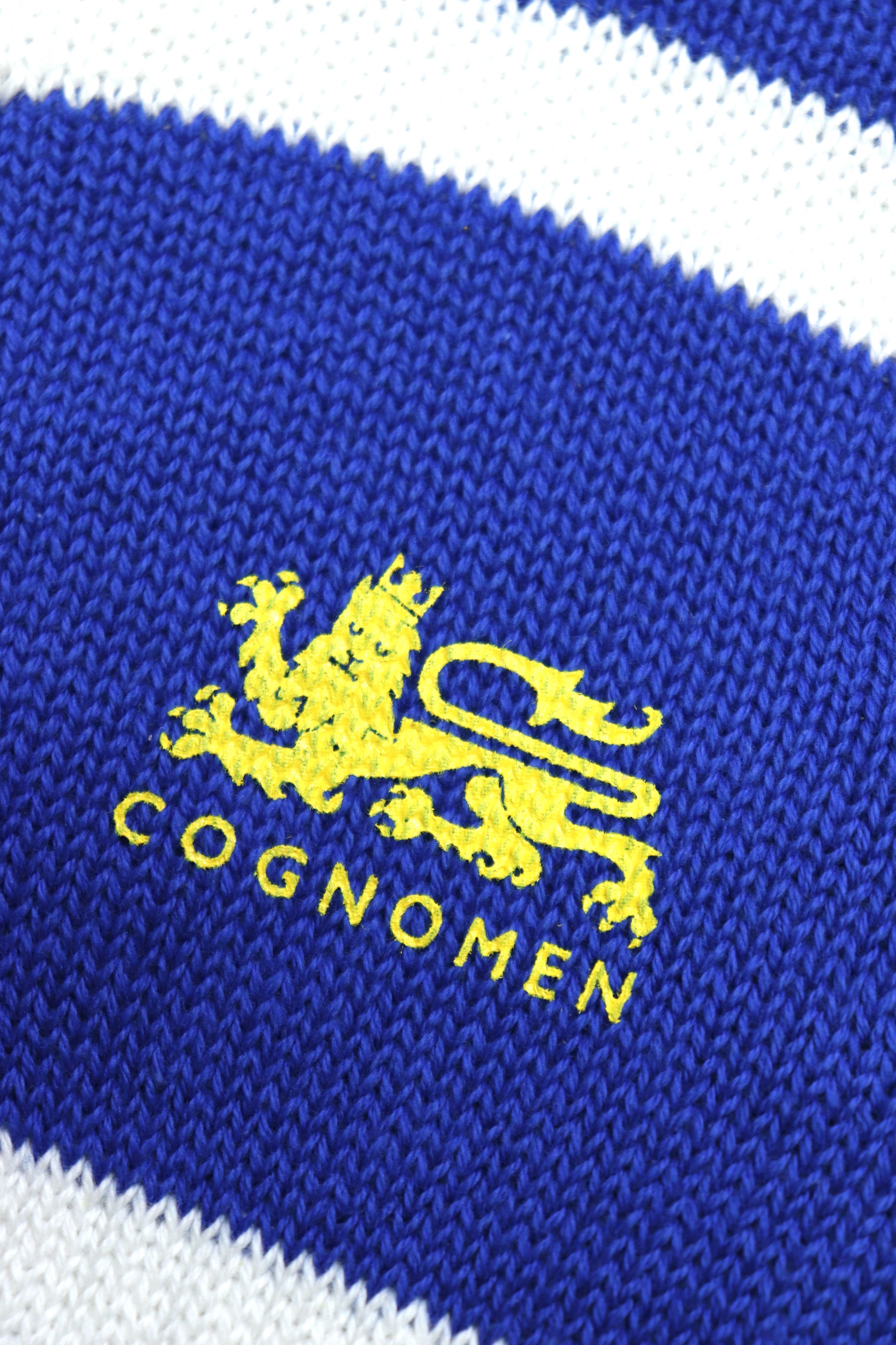 COGNOMEN(コグノーメン)のGOALKEEPER GLOVES BLUEの通販｜PALETTE art aliveのオンラインショップ ...