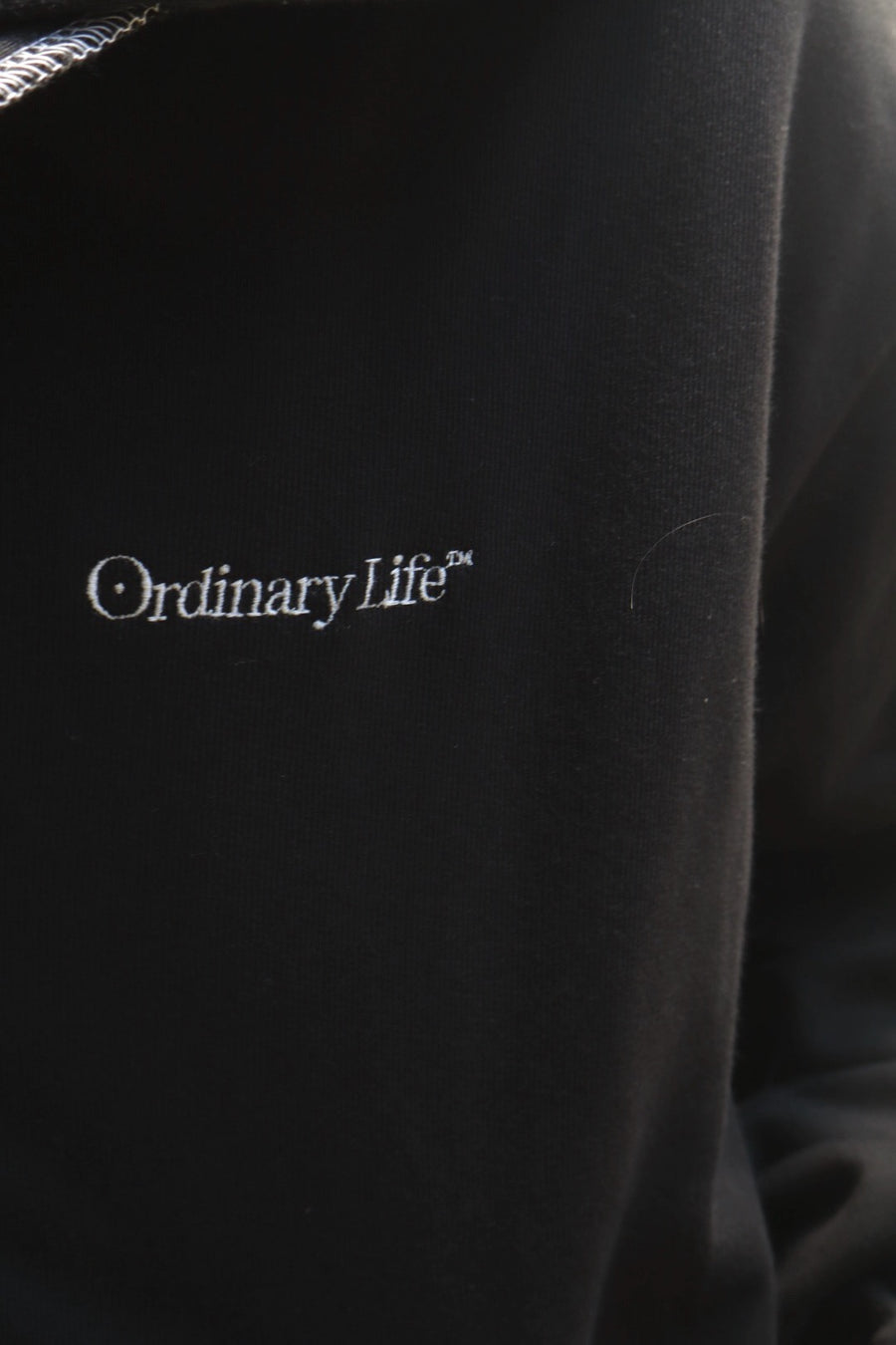 SHINYAKOZUKA  ORDINARY OLD STYLE ZIP HOODIE(BLACK)