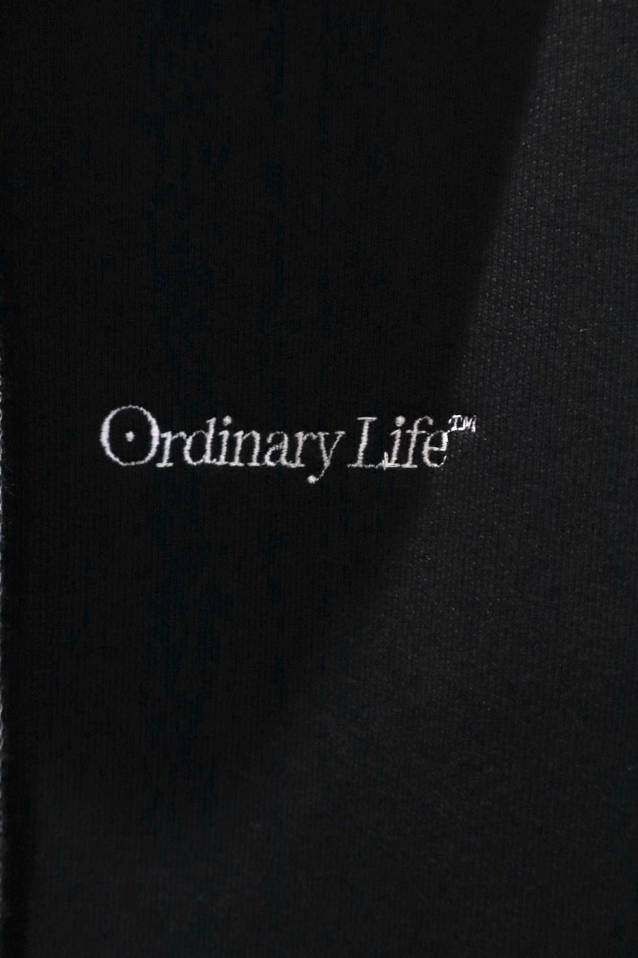 SHINYAKOZUKA  ORDINARY OLD STYLE ZIP HOODIE(BLACK)