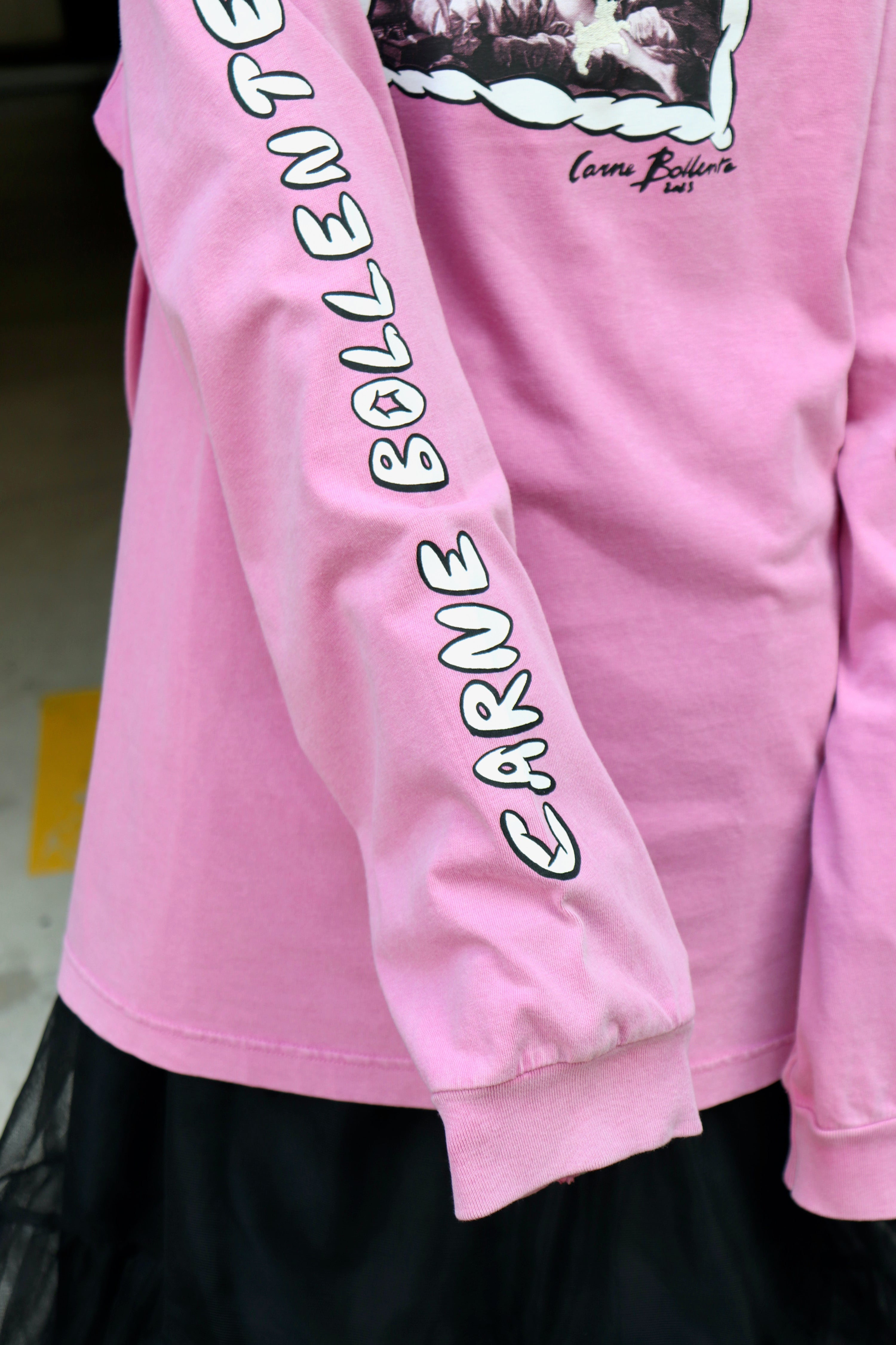 CARNE BOLLENTE's THREE ASSES PINK mail order ｜ Palette Art Alive