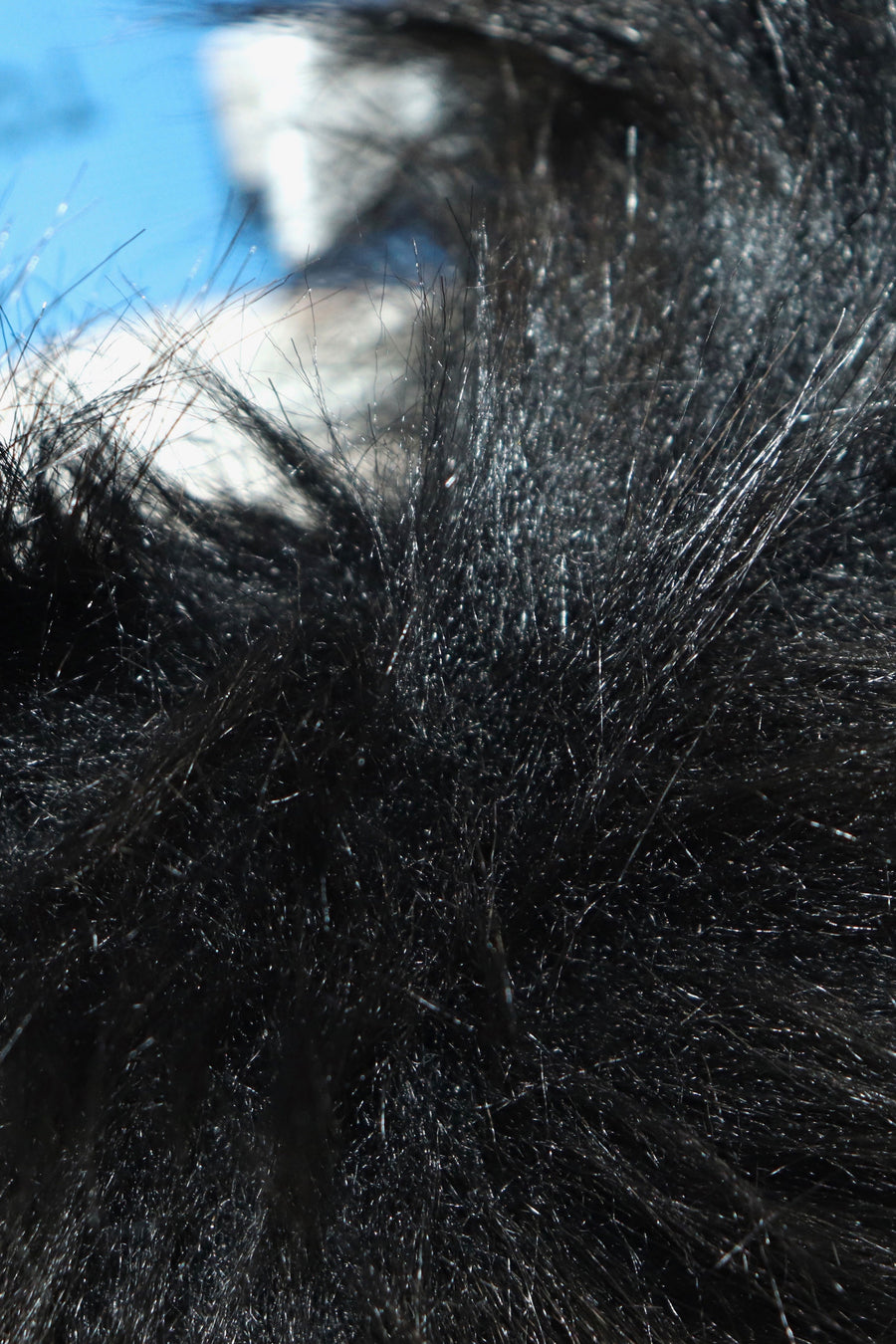 TOGA VIRILIS  Fur headband(BLACK)