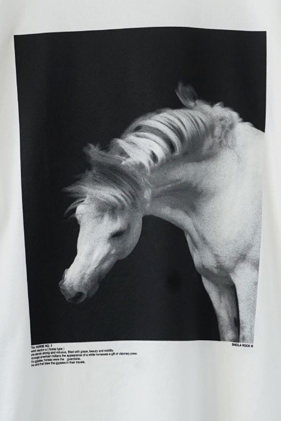 JOHN MASON SMITH × SHEILA ROCK  HORSE No.1 SHORT SLEEVE T-SHIRT