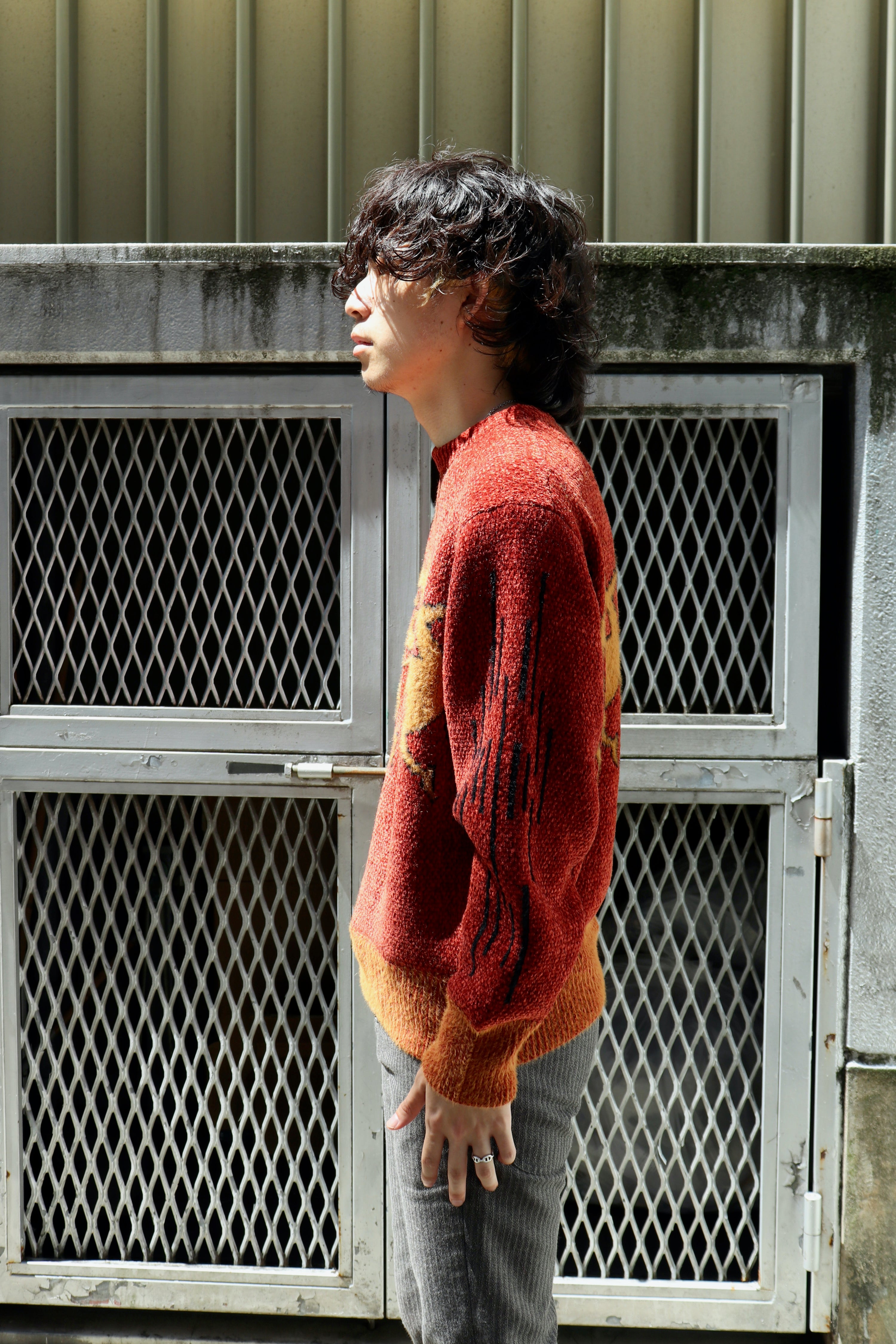 TOGA VIRILIS Jaquard knit pullover ニット 新しい冒険が待っている